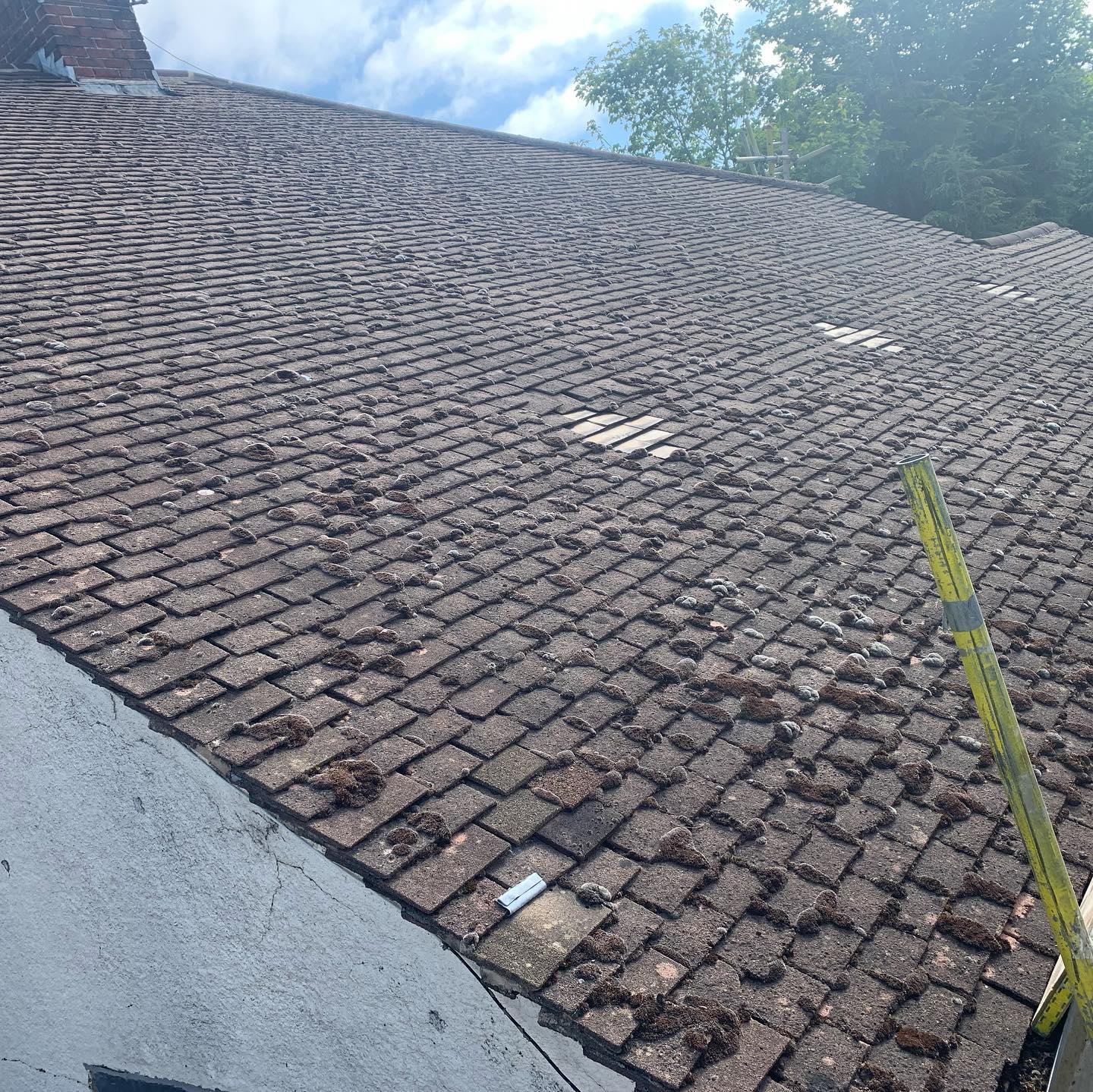 Mossy worn tile roof needing replacement