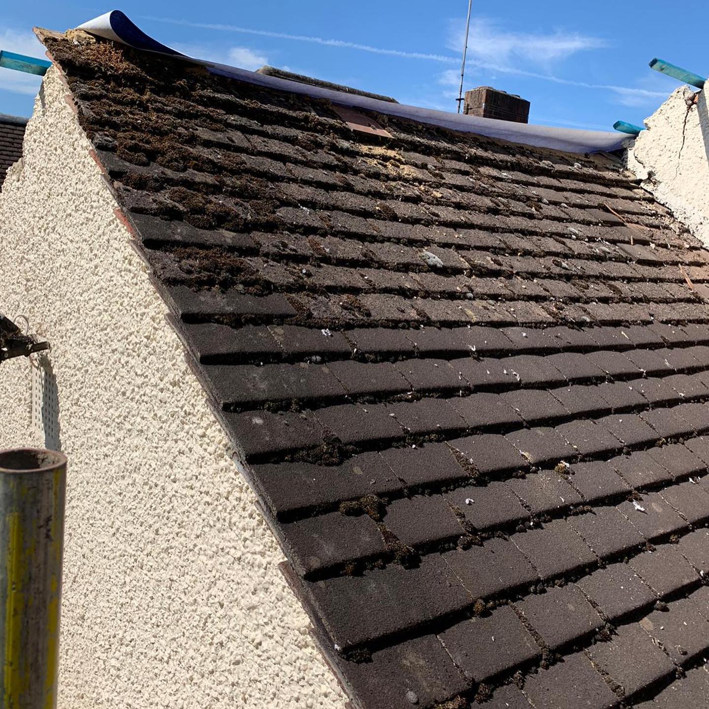 Stripped roof showing old battens before re-roof